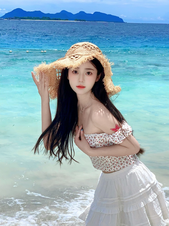 绿皮书